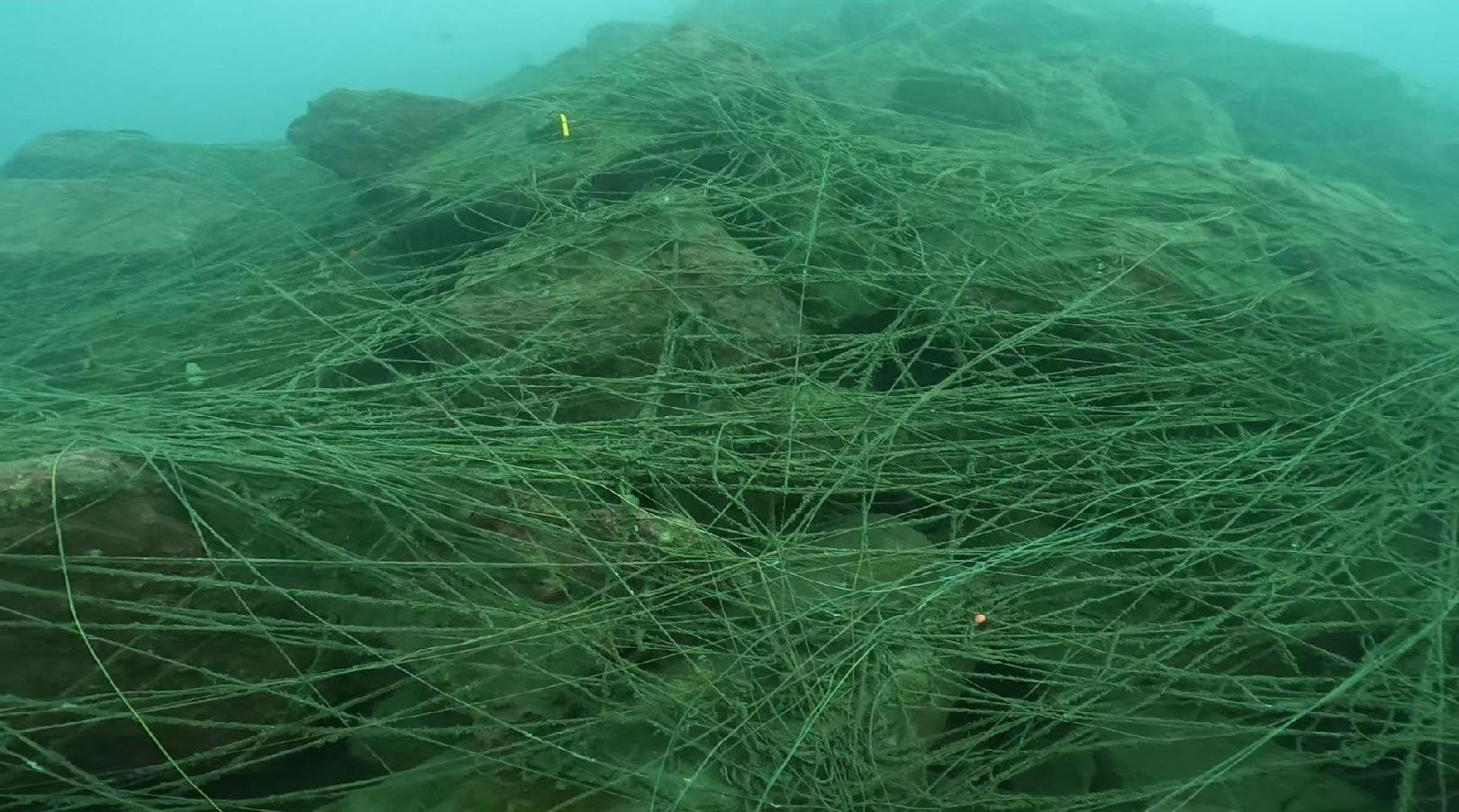 海底一面に残された釣り糸
